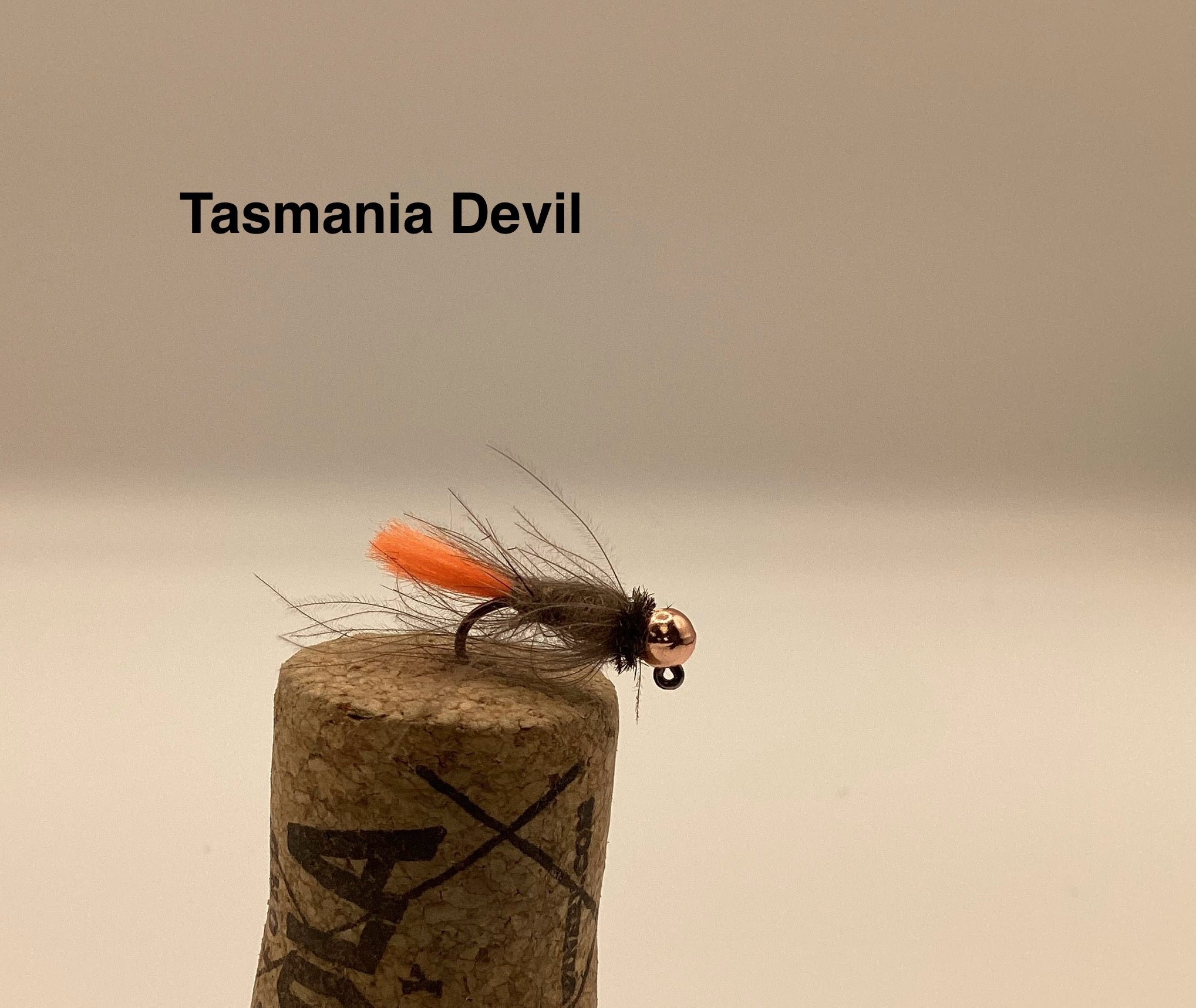 Tasmania Devil