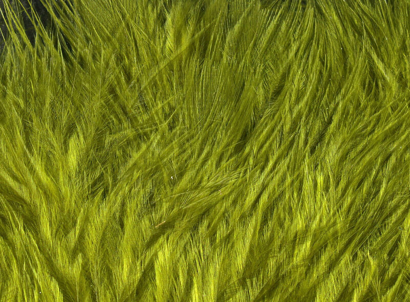 Wooly Bugger Marabou